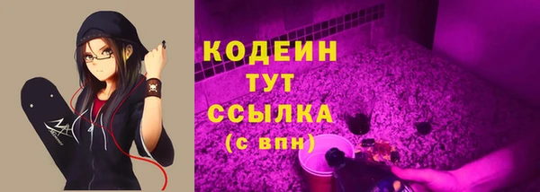 гашик Сосновый Бор