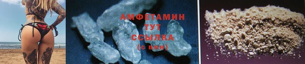 гашик Сосновый Бор