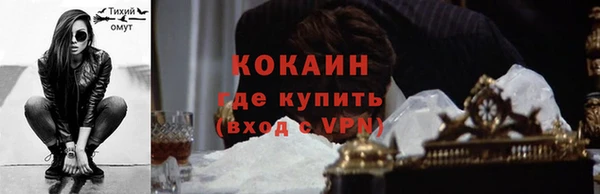гашик Сосновый Бор