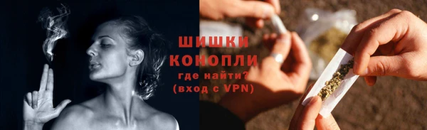 гашик Сосновый Бор