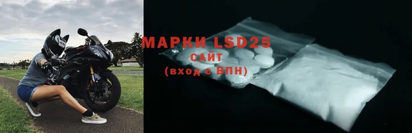 гашик Сосновый Бор