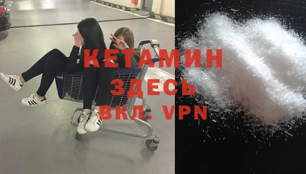 гашик Сосновый Бор