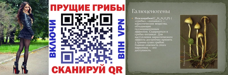 Галлюциногенные грибы Psilocybe  Томари 